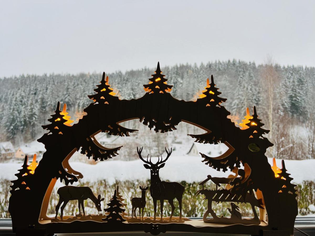 Urige Berghuette Mit Kamin Und Sauna Im Erzgebirge Nahe Schwarzwassertal Pobershau 外观 照片
