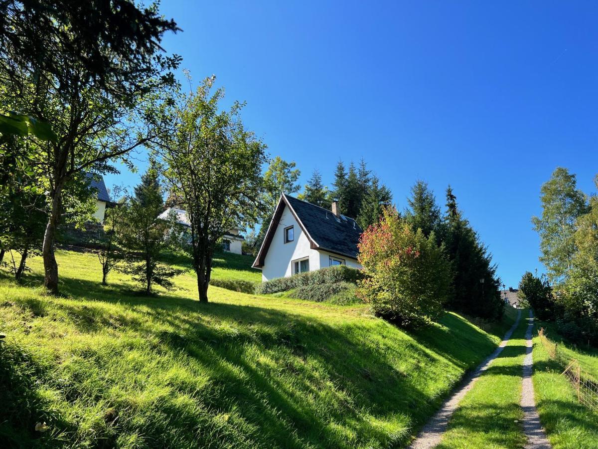 Urige Berghuette Mit Kamin Und Sauna Im Erzgebirge Nahe Schwarzwassertal Pobershau 外观 照片