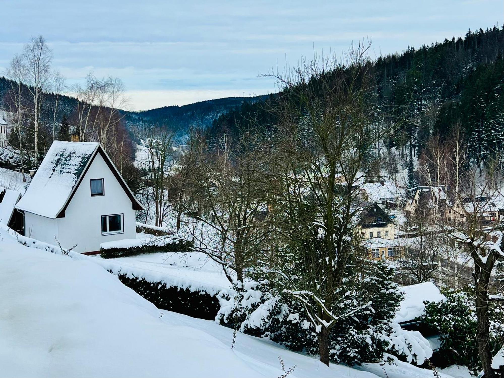 Urige Berghuette Mit Kamin Und Sauna Im Erzgebirge Nahe Schwarzwassertal Pobershau 外观 照片
